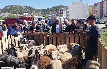 Hanönü ilçesinde hayvan pazarı açıldı