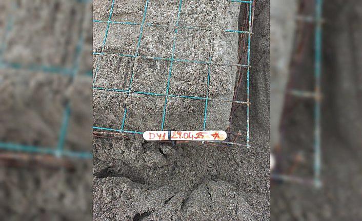 Muğla'da caretta carettalar İztuzu sahiline yumurta bırakmaya başladı