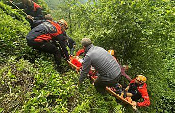 Rize'de çay hasat ederken yamaçtan yuvarlanan kişi yaralandı