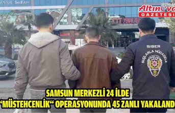 Samsun merkezli 24 ilde “müstehcenlik“ operasyonunda 45 zanlı yakalandı