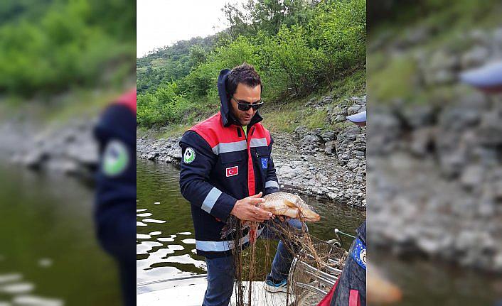 Samsun'da ekipler su kaynaklarında kaçak avcılığı önlemeye çalışıyor