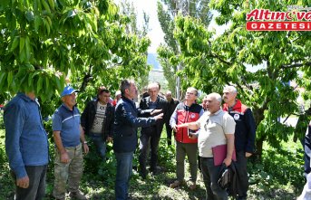 Tokat'ta yaşanan zirai don sonrası toplantı yapıldı
