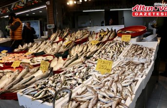 Trabzon'da tezgahlarda istavrit ve mezgit rağbet görüyor
