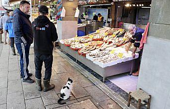 Trabzon'da balıkçı tezgahlarında çeşitlilik sürüyor