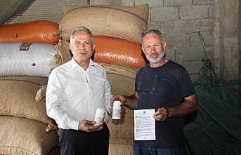 Trabzon'da kahverengi kokarcaya karşı üreticilere ilaç dağıtıldı