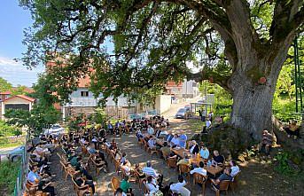 677 yaşındaki anıt ağaç asırlardır buluşma noktası oluyor