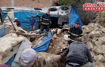 Amasya'da çatısı çöken ahırdaki 2 büyükbaş hayvanı itfaiye kurtardı