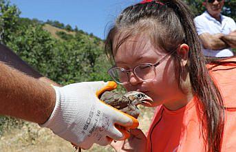Amasya'da keneyle mücadele kapsamında 900 kınalı keklik doğaya bırakıldı