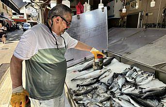 Av sezonunda tuzlanan palamutlar yazın tezgahları süslüyor