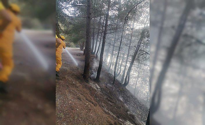 Bafra'da örtü yangını büyümeden söndürüldü