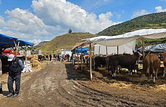 Bayat ilçesinde kurban pazarında hareketlilik sürüyor