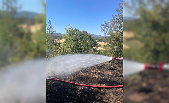 Bolu'da ot yangını ormana sıçramadan söndürüldü