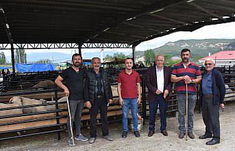 Boyabat ilçesinde canlı hayvan pazarı açıldı