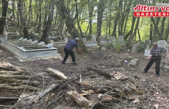 Dal bile almanın uğursuzluk sayılması ormanın korunmasını sağladı