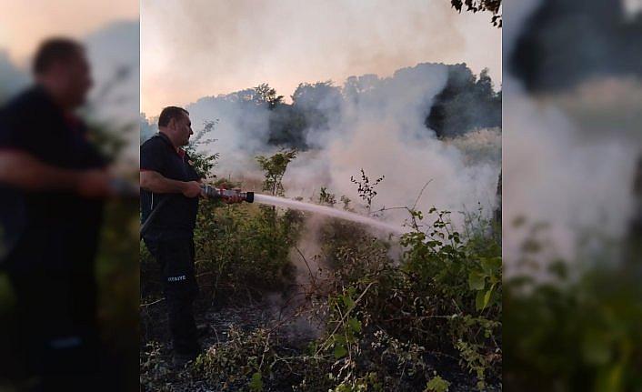 Gerze'de çıkan örtü yangını söndürüldü