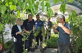 Gümüşhacıköy Kaymakamı Büşra Güneş’ten esnaf ziyareti