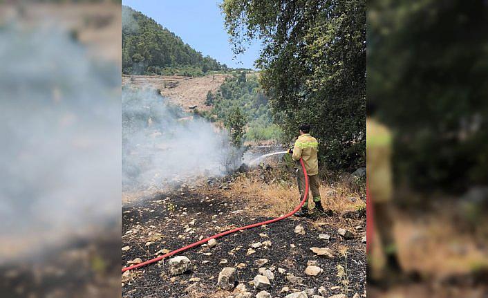 Antalya'da makilik alanda çıkan yangın kontrol altına alındı