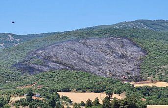 Bursa'da çıkan orman yangını kontrol altına alındı