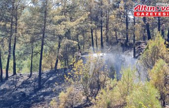 Karabük'te çıkan orman yangını kontrol altına alındı