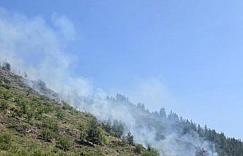 Karabük'te çıkan örtü yangını söndürüldü