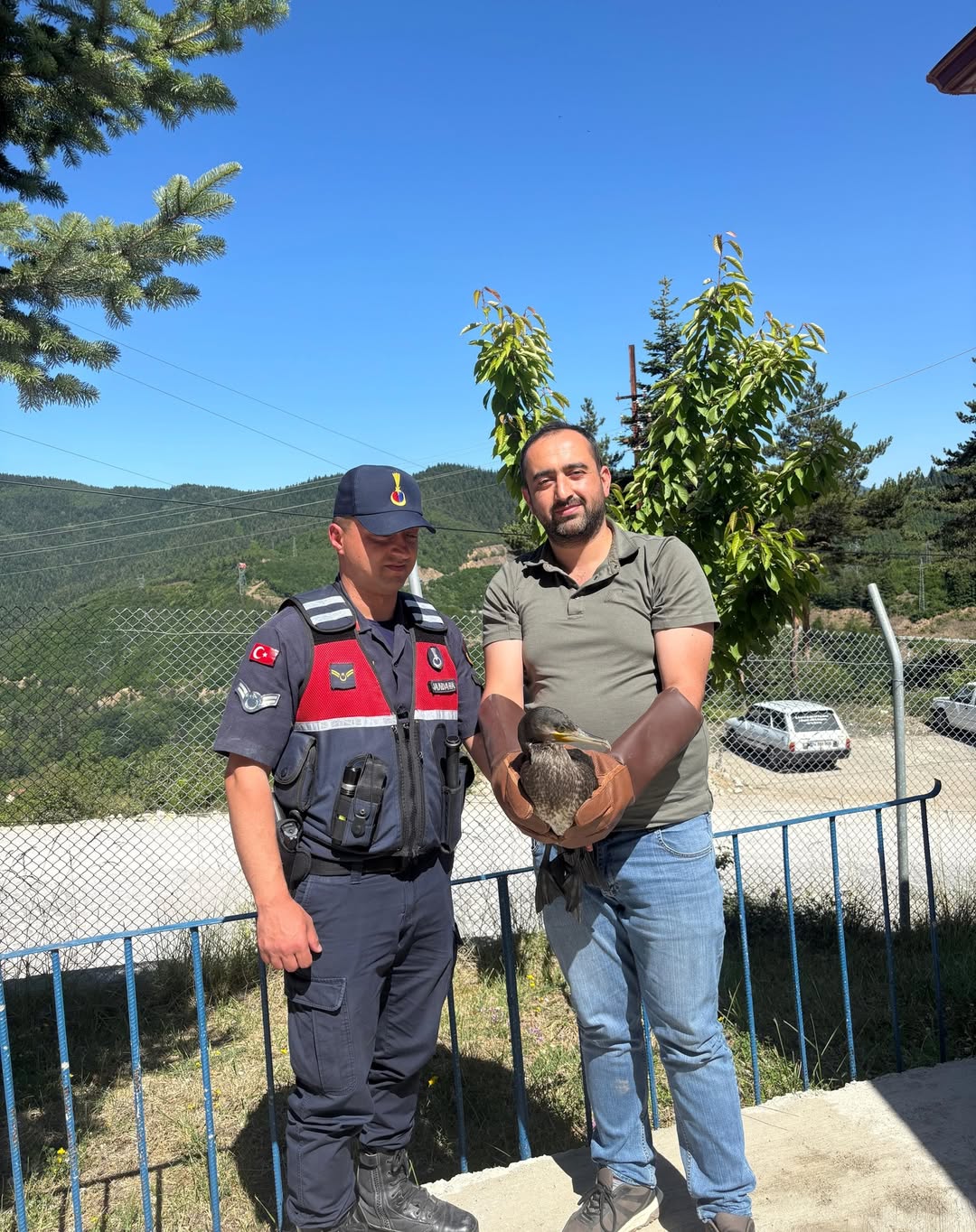 Kastamonu'da tedavileri tamamlanan kuşlar doğaya salındı