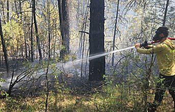 Mengen'de çıkan örtü yangını söndürüldü