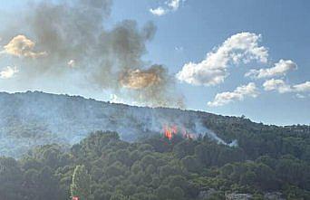 Pendik'te ormanlık alanda çıkan yangın söndürüldü