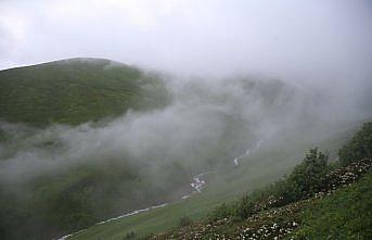 Rize'de “20. Dağ Horozu Şenliği“ düzenlendi