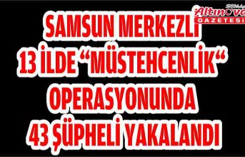 Samsun merkezli 13 ilde “müstehcenlik“ operasyonunda 43 şüpheli yakalandı