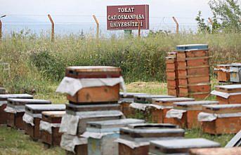 TOGÜ'de “Çocuklarımın Eğitimine Ürettiğim Balımla Destek Olacağım“ projesi