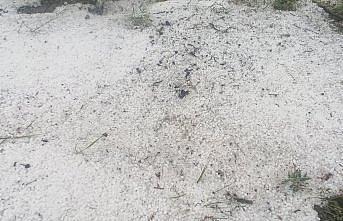 Tokat'ta dolu yağışı etkili oldu