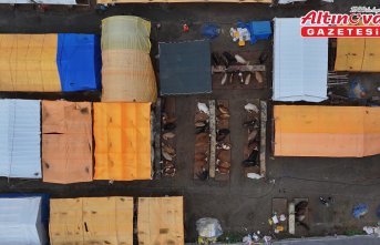 Trabzon'da kurban satışlarından alıcı ve satıcılar memnun