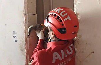 Trabzon'da havalandırma boşluğunda mahsur kalan yaralı martı kurtarıldı