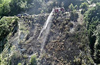 Türkeli'de makilik alanda çıkan yangın söndürüldü