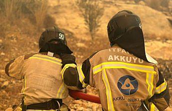 Akkuyu NGS İtfaiye Birimi, yangın söndürme çalışmalarına destek verdi