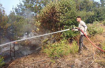 Amasya’da çıkan orman yangını söndürüldü