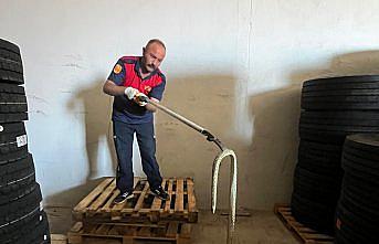 Amasya’da iş yerine giren yılan doğaya salındı