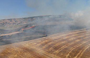 Amasya'da tarım arazisinde çıkan yangın söndürüldü