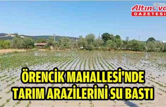 ÖRENCİK MAHALLESİ’NDE TARIM ARAZİLERİNİ SU BASTI