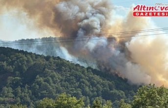 Bolu'nun Göynük ilçesinde çıkan orman yangınına müdahale ediliyor