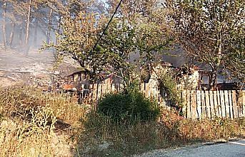 Bolu'nun Mudurnu ilçesinde ormanlık alanda yangın çıktı