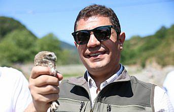 Düzce'de 5 baykuş ve 20 bin alabalık doğaya bırakıldı