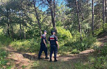 Gerze'de jandarma orman yangınlarına karşı teyakkuzda