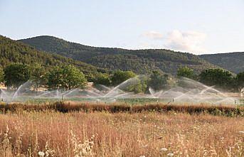 Gümüşhacıköy ilçesinde basınçlı sulama tesisi hizmete açıldı