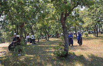 Havza'da yangın riskine karşı doğa temizliği yapıldı