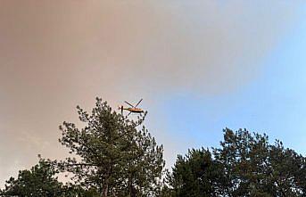 Karabük'te çıkan orman yangınına müdahale ediliyor