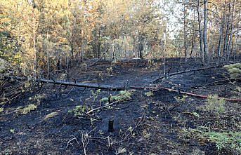 Karabük'te ormanlık alanda çıkan yangın kontrol altına alındı