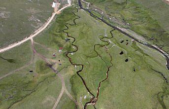 Karadeniz'in zirvesindeki yaylalar ziyaretçilerini ağırlıyor
