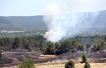 Kastamonu'da tarım arazisinde başlayan yangın ormana sıçradı
