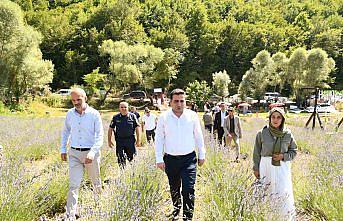 Ladik'te lavanta bahçesi törenle hizmete açıldı